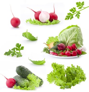 Collection of fresh vegetables